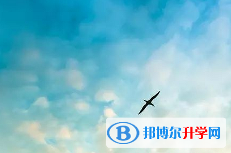 宜賓中考200多的哪些學校要
