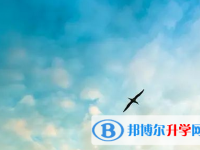 宜賓中考200多的哪些學校要