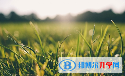 宜賓2022年今年中考時間是幾號