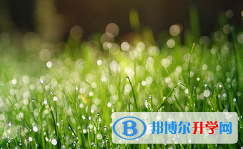 宜賓2022年沒有學籍可以參加中考嗎