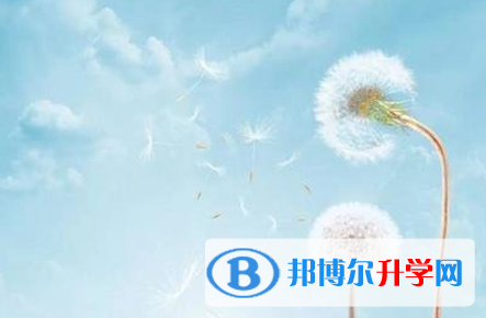 宜賓2022年什么時候中考
