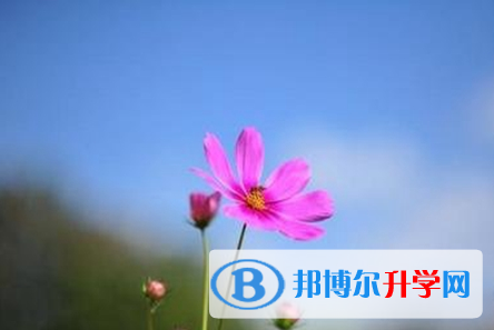 宜賓2022年孩子中考家長怎么做