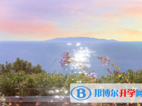 宜賓2022年中考報(bào)名是哪個(gè)網(wǎng)站