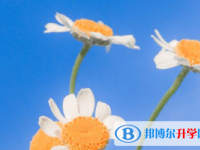 宜賓2022年中考報(bào)名網(wǎng)站登錄