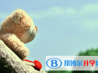 宜賓2022年中考報(bào)名網(wǎng)址