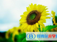宜賓2022年中考報(bào)名系統(tǒng)網(wǎng)址