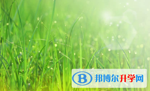 廣安2022年外地生中考怎沒(méi)成績(jī)