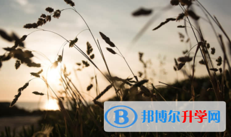 廣安2022年網上查詢中考成績怎么查詢