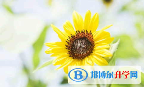 廣安2022年中考查詢(xún)成績(jī)網(wǎng)址