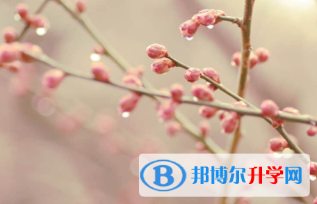 廣安2022年中考看成績是在哪個網(wǎng)站
