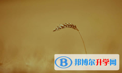 廣安2022年中考體育考試成績(jī)查詢