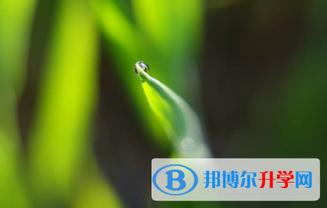 廣安2022年近年中考重點線