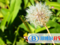 廣安2022年中考報(bào)名網(wǎng)站