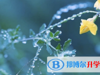 廣安2022年中考報(bào)名系統(tǒng)