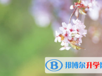 廣安2022年中考錄取報(bào)名網(wǎng)