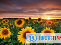 廣安2022年中考網(wǎng)上報(bào)名