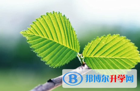 廣安2022年中考線預測