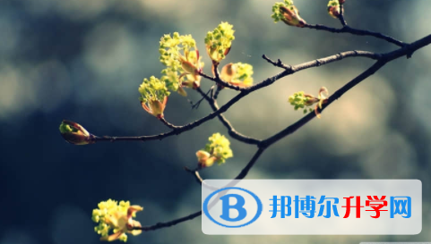 廣安2022年中考注意事項(xiàng)和技巧