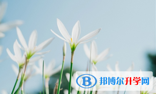 廣安2022年中考沒(méi)考好怎么辦