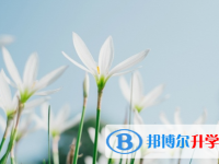 廣安2022年中考沒(méi)考好怎么辦