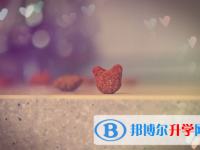廣安2022年中考沒(méi)有被學(xué)校錄取咋辦