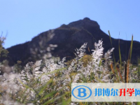 廣安2022年中考緊張?jiān)趺崔k