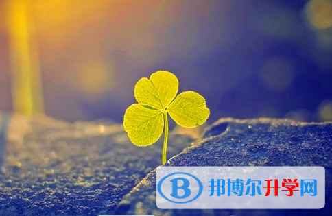 廣安2022年未參加中考可以讀啥學校