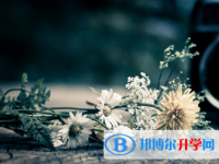 達(dá)州2022年外地生中考怎沒成績