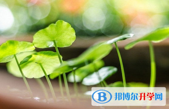 達(dá)州2022年怎樣從網(wǎng)上查詢(xún)中考成績(jī)