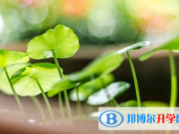 達州2022年怎樣從網(wǎng)上查詢中考成績