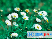 達(dá)州2022年怎樣對(duì)待中考成績