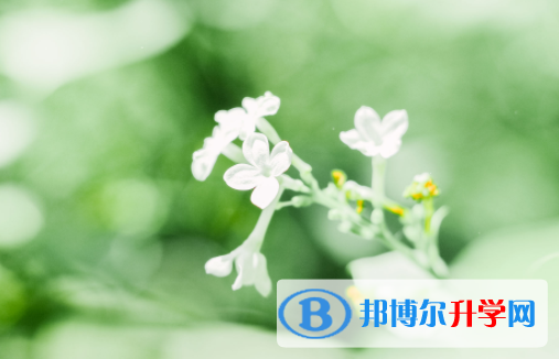達(dá)州2022年中考查詢成績(jī)
