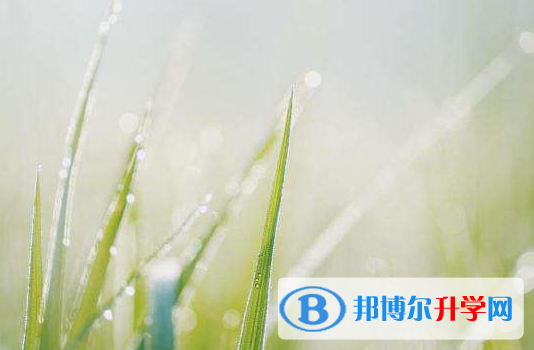 達(dá)州2022年中考查詢成績網(wǎng)址