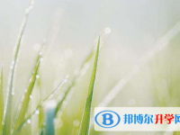 達州2022年中考查詢成績網(wǎng)址