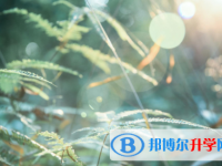 達州2022年中考查詢系統(tǒng)