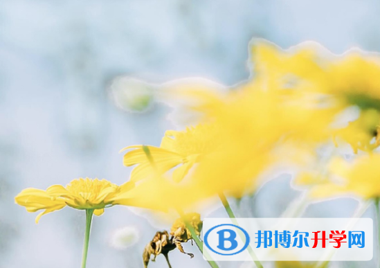 達(dá)州2022年中考成績(jī)查詢方法