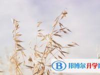 達州2022年中考成績有沒D