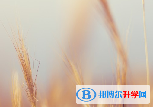 達州2022年中考成績怎么算