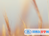達州2022年中考成績怎么算