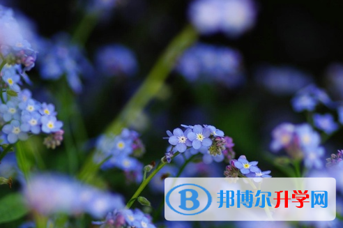 達州2022年中考看成績是在哪個網(wǎng)站
