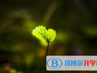達州2022年中考考號查詢