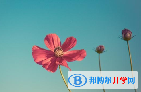 達州2022年中考報名網站
