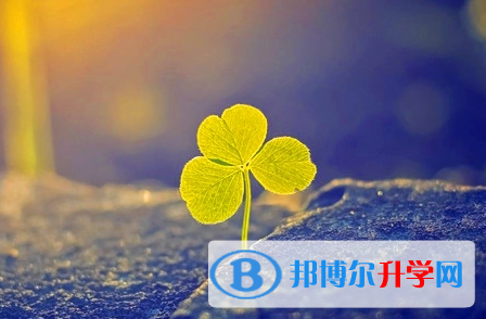 達(dá)州2022年中考查詢(xún)系統(tǒng)的密碼記不到了怎么辦