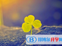 達州2022年中考查詢系統的密碼記不到了怎么辦