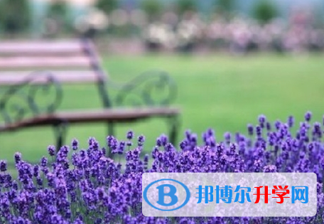 達(dá)州2022年中考成績(jī)今年怎么這么高