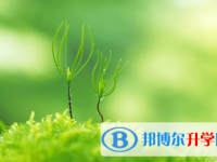 達州2022年中考成績重點線