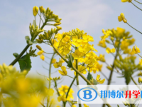 達州2022年中考公布時間