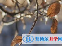 達州2022年中考后如何錄取