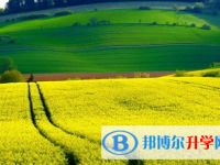 達州2022年中考錄取名單