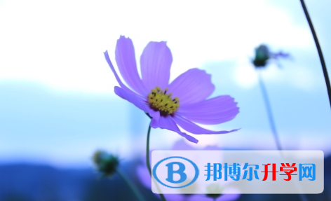 達州2022年中考難度